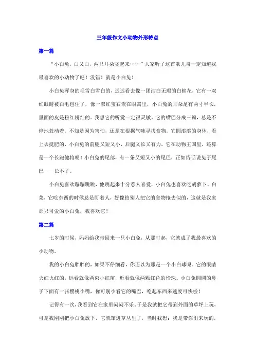 三年级作文小动物外形特点