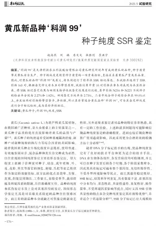 黄瓜新品种‘科润99’种子纯度SSR鉴定