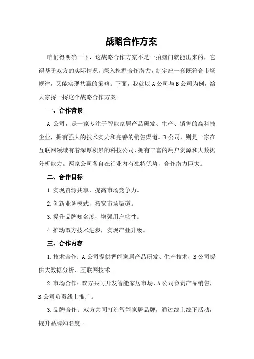 战略合作方案