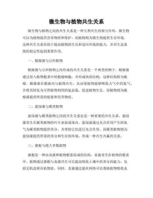 微生物与植物共生关系