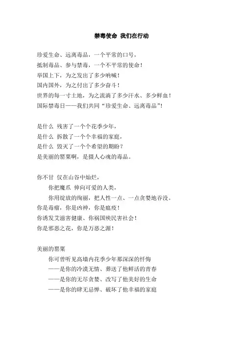 禁毒使命 我们在行动
