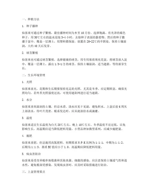 仙客来的种植及管理技术