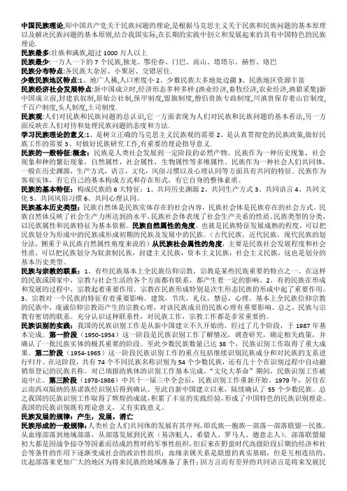 民族理论