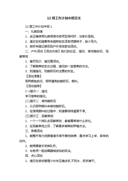 12周工作计划中班范文