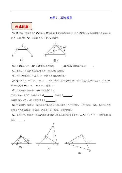 中考数学专题1共顶点模型-