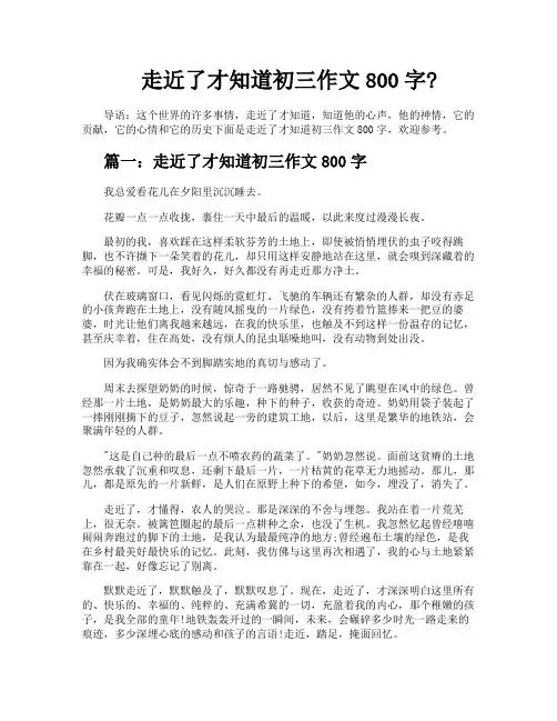 走近了才知道初三作文800字