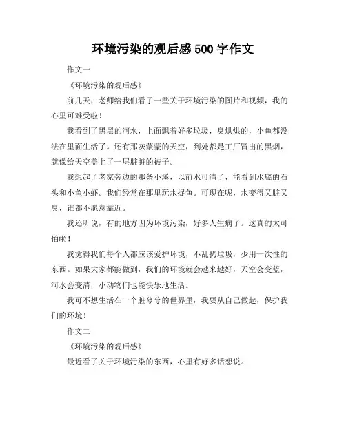 环境污染的观后感500字作文