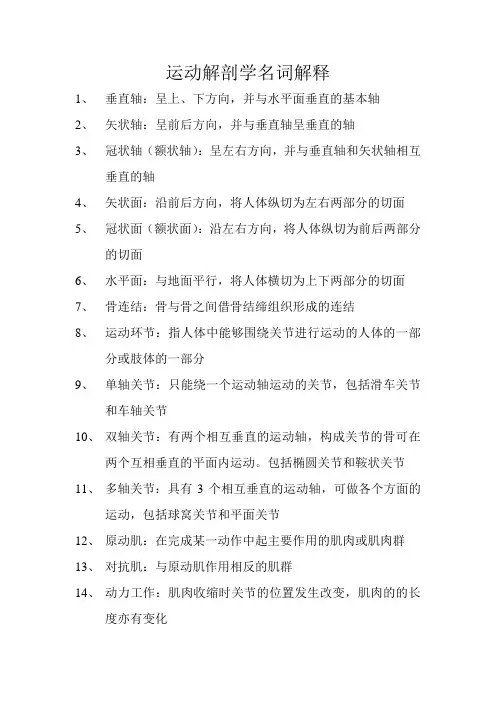 运动解剖学名词解释