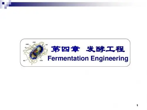 第四章+发酵工程final-PPT精选文档55页