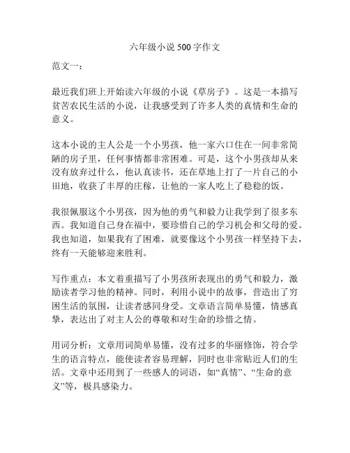 六年级小说500字作文