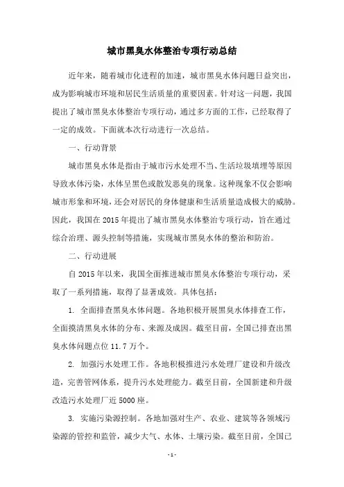 城市黑臭水体整治专项行动总结