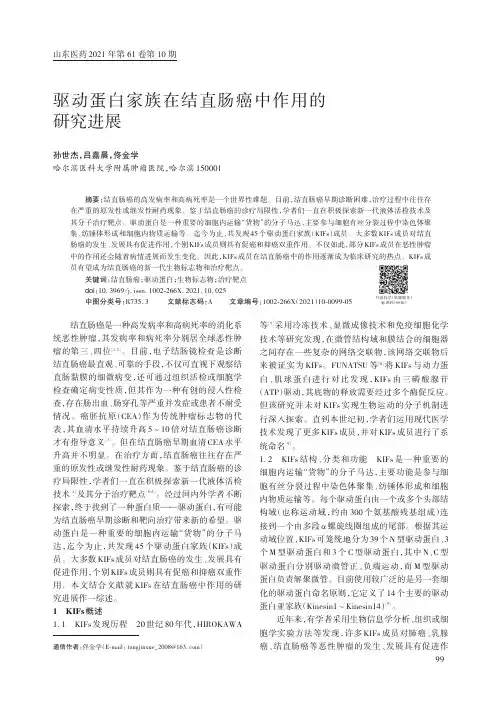 驱动蛋白家族在结直肠癌中作用的研究进展
