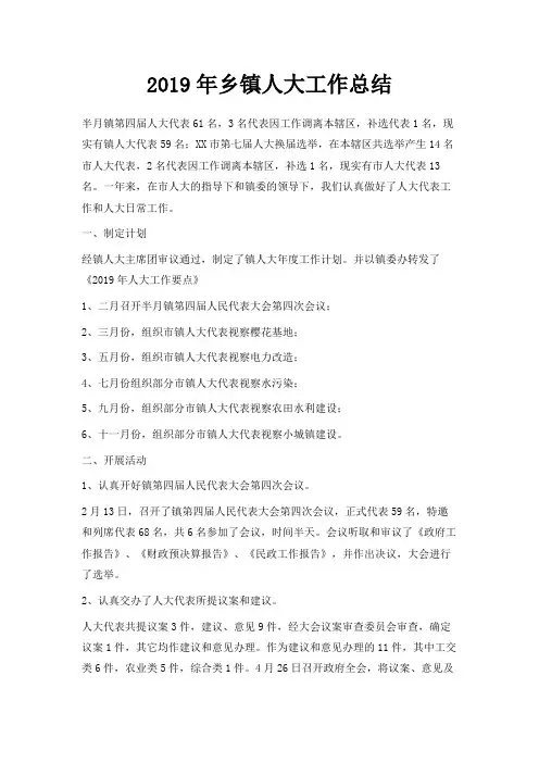 最新-2019年乡镇人大工作总结 精品