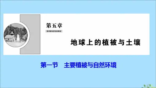 2019_2020学年新教材高中地理第五章地球上的植被与土壤第一节主要植被与自然环境课件湘教版必修第一册