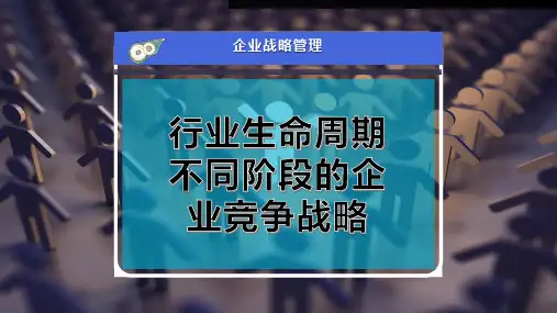 行业生命周期不同阶段的企业竞争战略