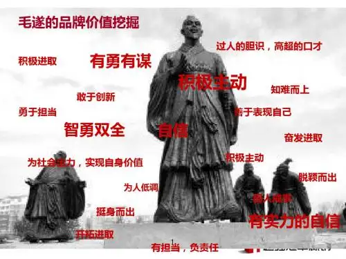 毛遂酒白酒营销方案PPT