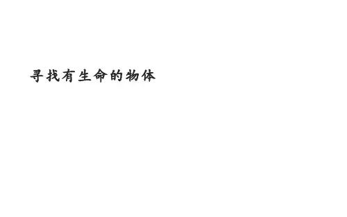 小学专题教育 生命 生态 安全 238 寻找有生命的物体 课件