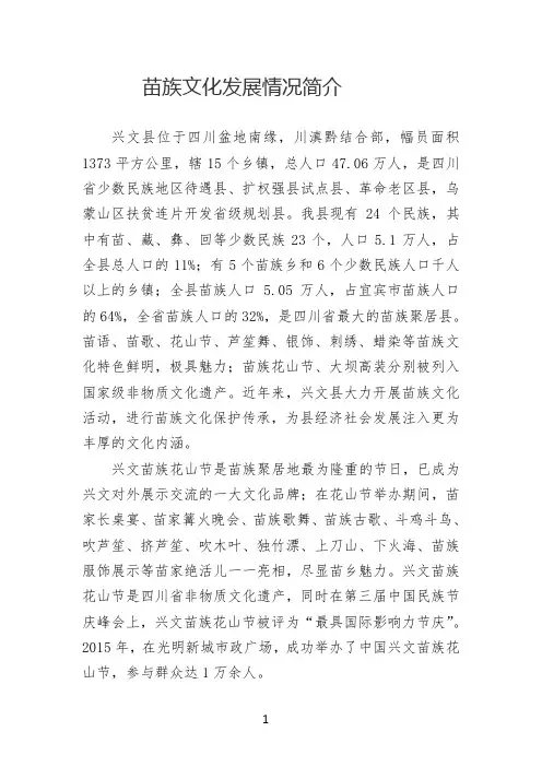 苗族文化情况简介