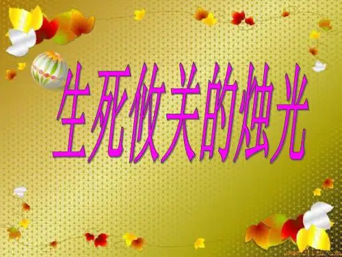 《生死攸关的烛光》第二课时-2