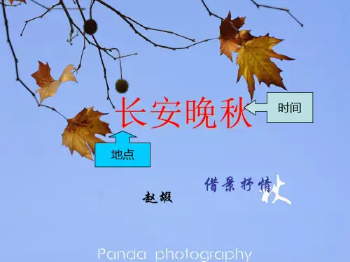 长安晚秋msw