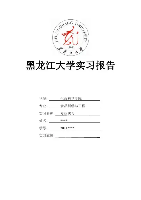 实习报告