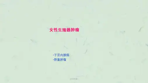 妇科肿瘤ppt课件