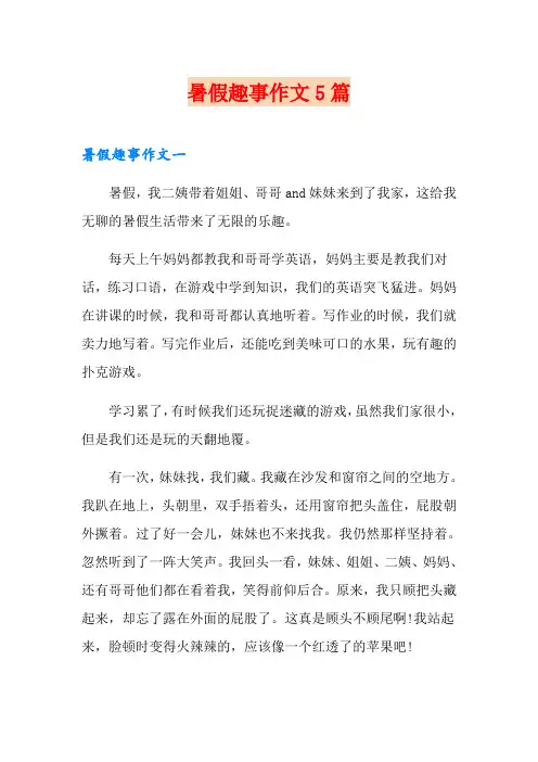 暑假趣事作文5篇