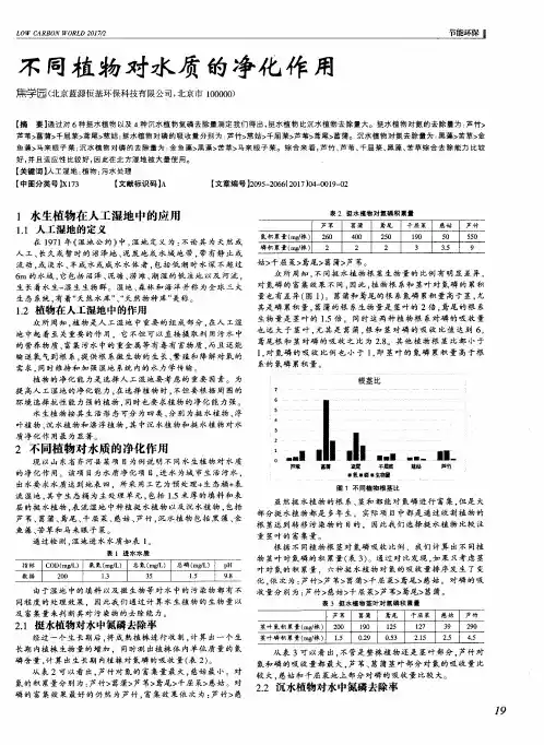 不同植物对水质的净化作用