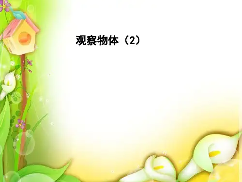 部编人教版数学二年级上册《观察物体(2)》课件