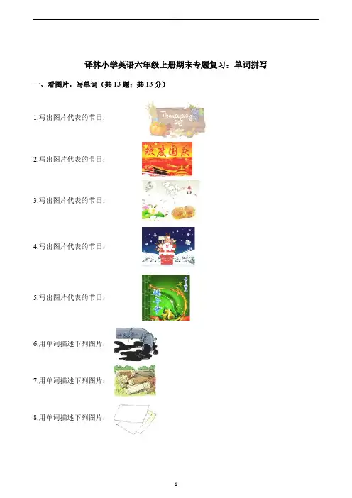 译林版六年级上册英语期末专项(分类)复习题(含答案)sc