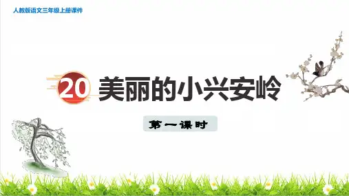 统编版语文三年级上册第六单元第20课《美丽的小兴安岭》课件