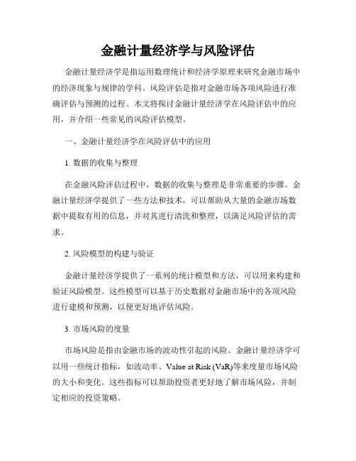 金融计量经济学与风险评估