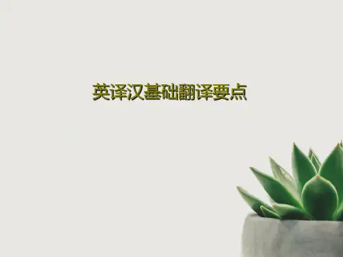 英译汉基础翻译要点共21页文档