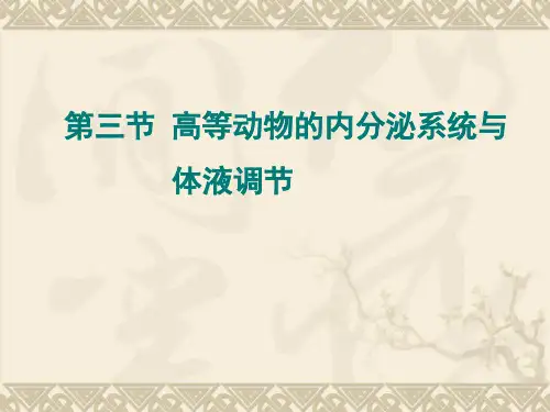 内分泌系统与体液调节