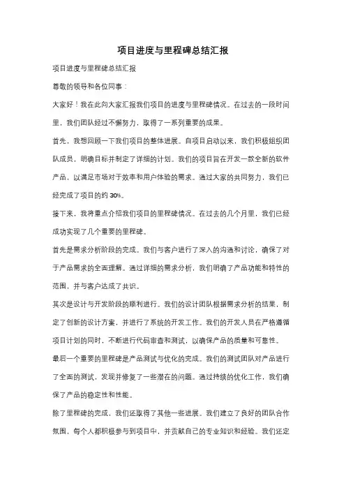 项目进度与里程碑总结汇报