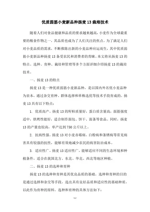 优质弱筋小麦新品种扬麦13栽培技术
