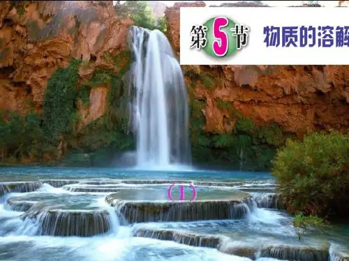 第5节物质的溶解第一课时