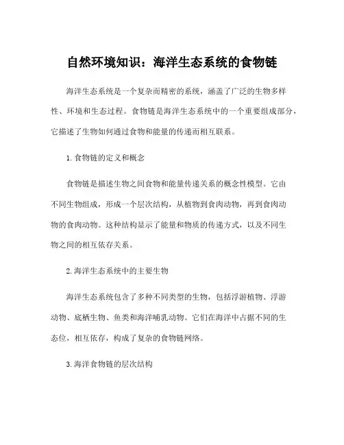 自然环境知识：海洋生态系统的食物链