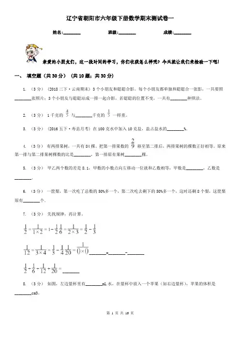 辽宁省朝阳市六年级下册数学期末测试卷一
