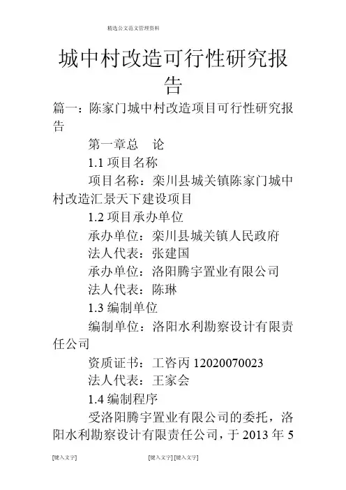 城中村改造可行性研究报告