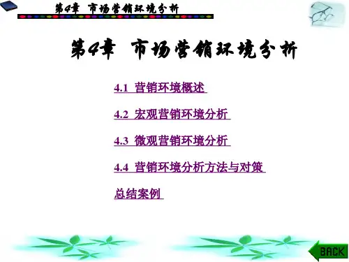 市场营销环境分析(ppt98页)