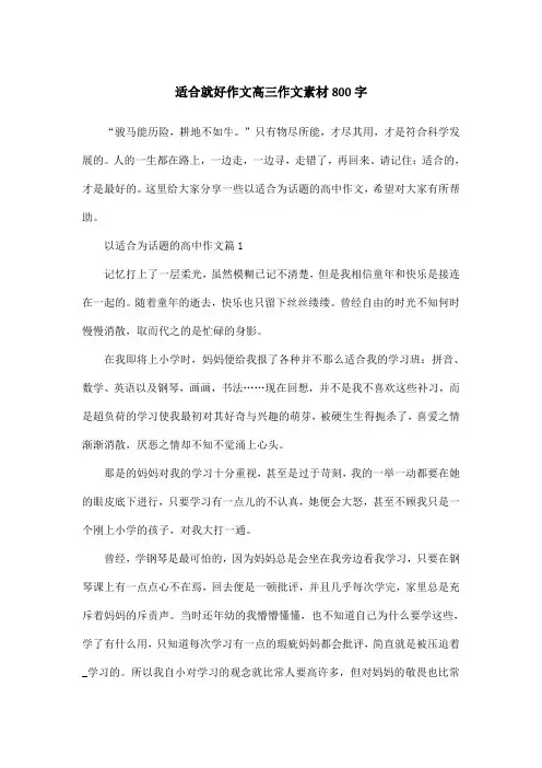 适合就好作文高三作文素材800字