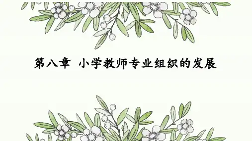 人民大小学教师专业发展PPT教学课件06