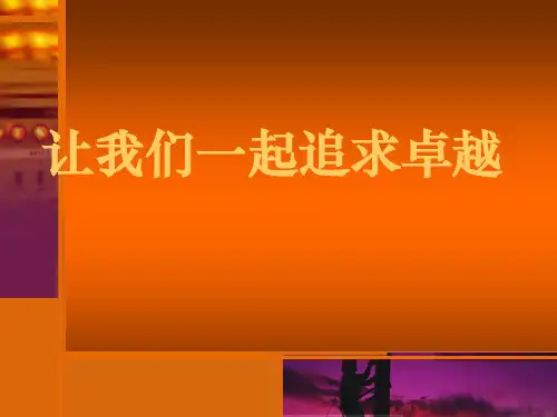 团队文化精美ppt模板