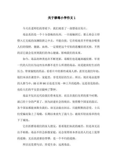 关于禁毒小学作文精选
