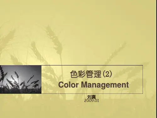 2.色彩复制原理和工艺
