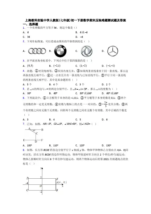 上海教科实验中学人教版(七年级)初一下册数学期末压轴难题测试题及答案