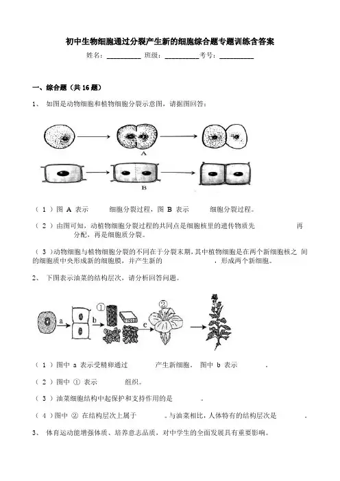 初中生物细胞通过分裂产生新的细胞综合题专题训练含答案