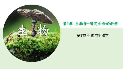 1.1.1生物与生物学课件(共23张PPT)苏科版七年级上册