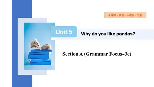 Unit5SectionA(GrammarFocus3c)课件初中英语人教版新目标七年级下册